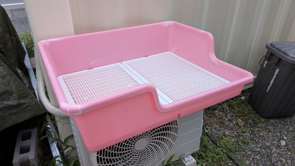 マイクロブタトイレ3-1