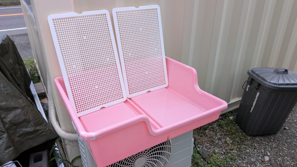 マイクロブタトイレ3-2