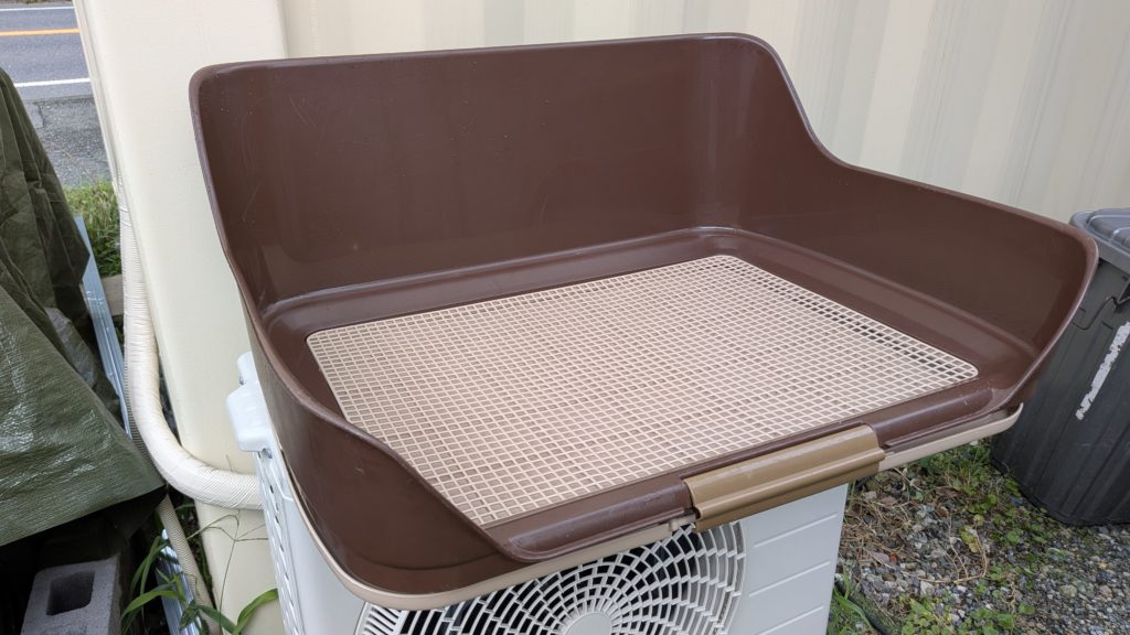 マイクロブタトイレオススメ1