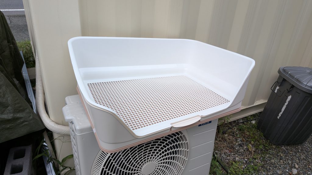 マイクロブタトイレ2-1